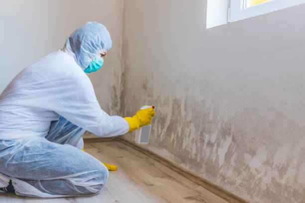 Licensed Crawl Space Mold Remediation service in Henderson, TN - 24 Hour Mold Removal