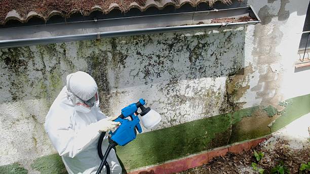 Top rated local Crawl Space Mold Remediation specialists in Henderson, TN
